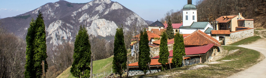 Diaspora Diaries: Radmila Rados, The Things That Survive Generations