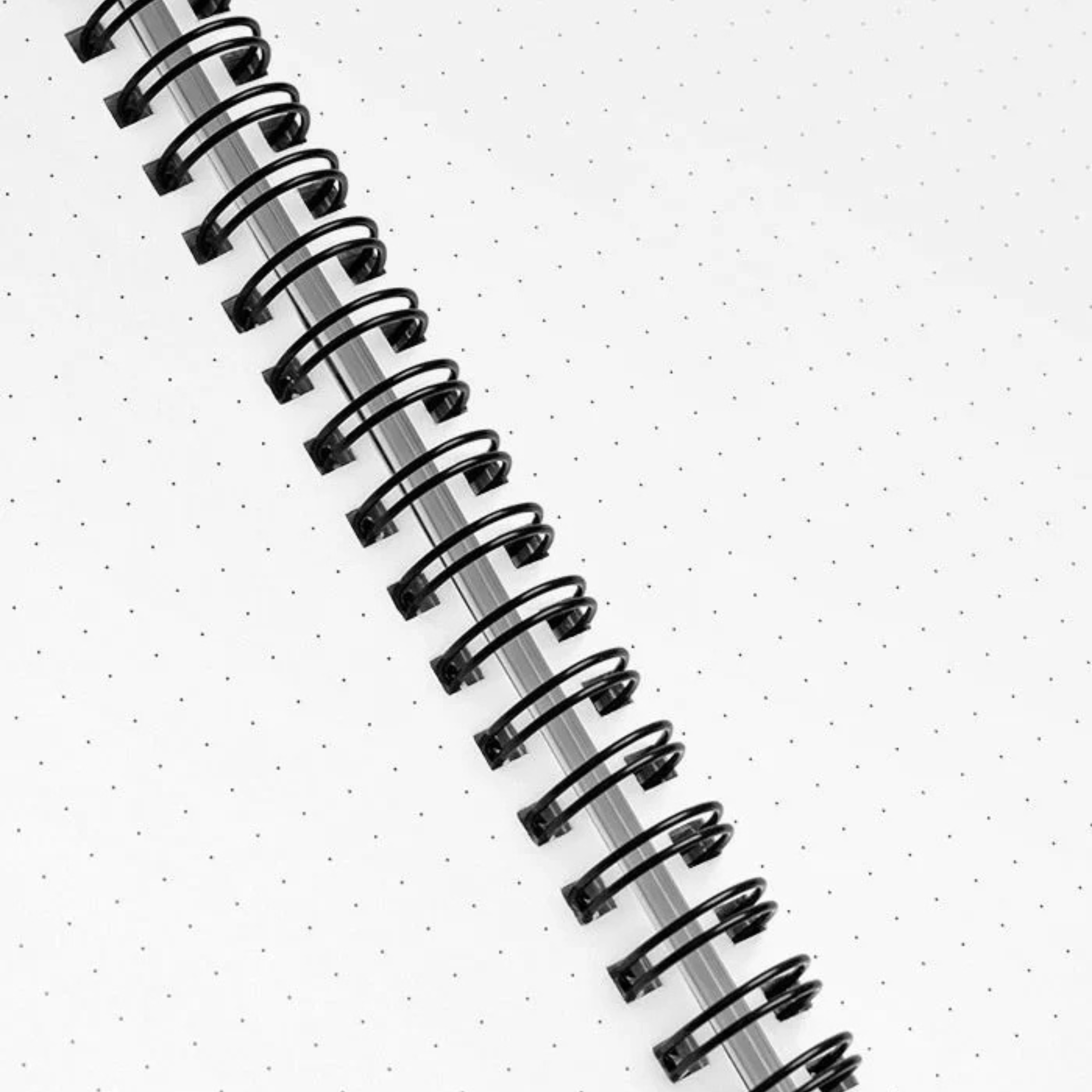 Kosovar Baddie Dotted Notebook