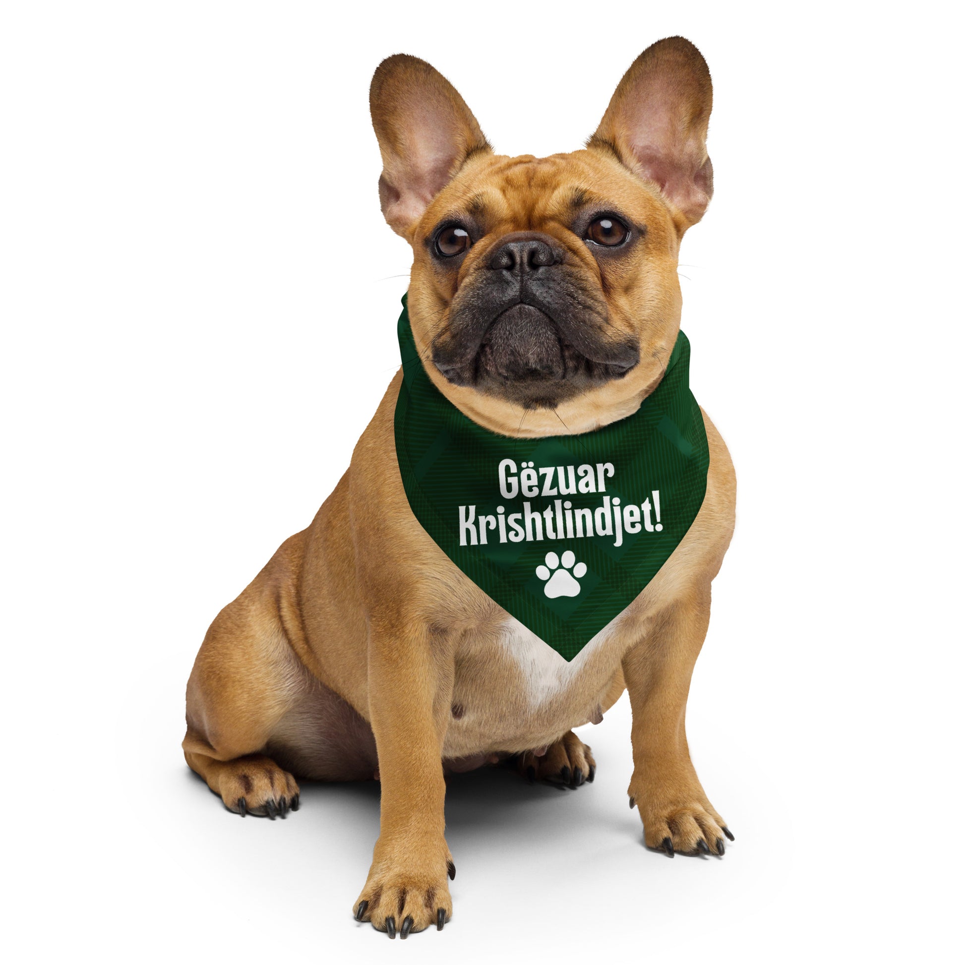 Green plaid pet bandana with “Gëzuar Krishtlindjet” — Albanian Christmas accessory for pets