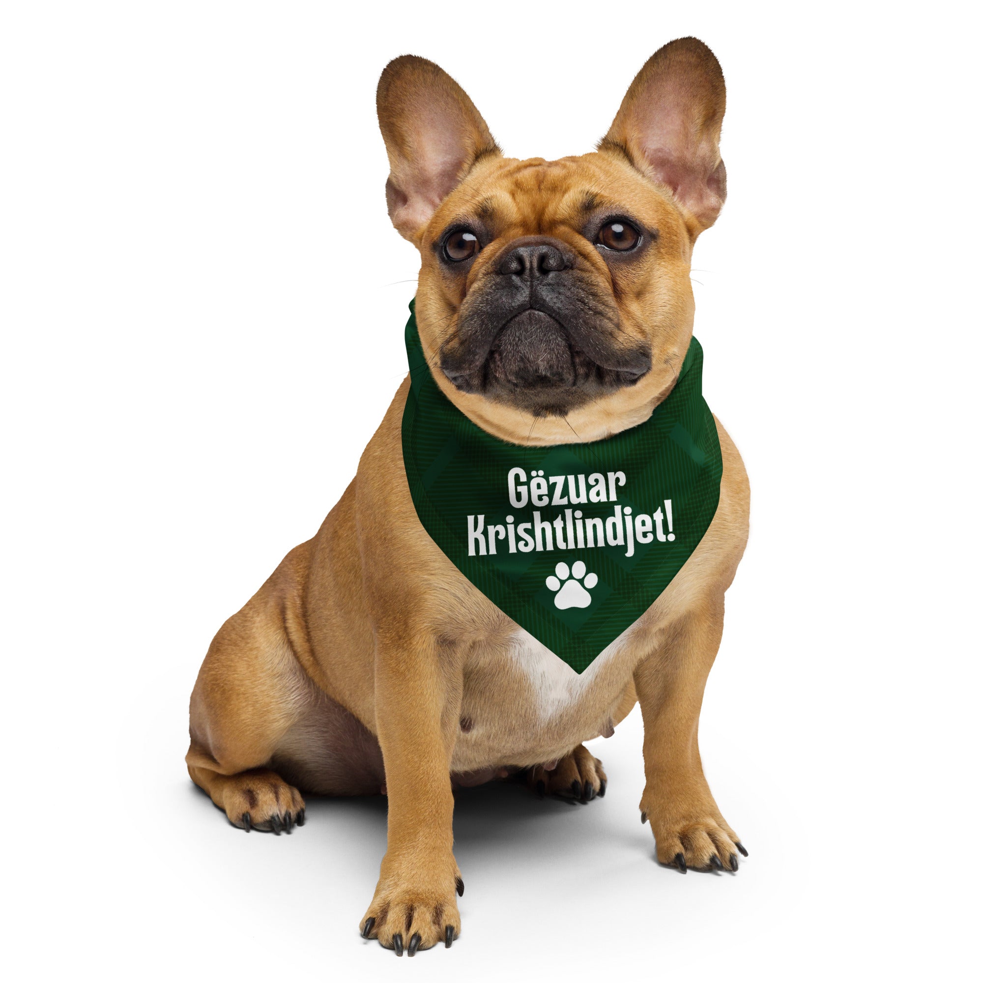 Green plaid pet bandana with “Gëzuar Krishtlindjet” — Albanian Christmas accessory for pets