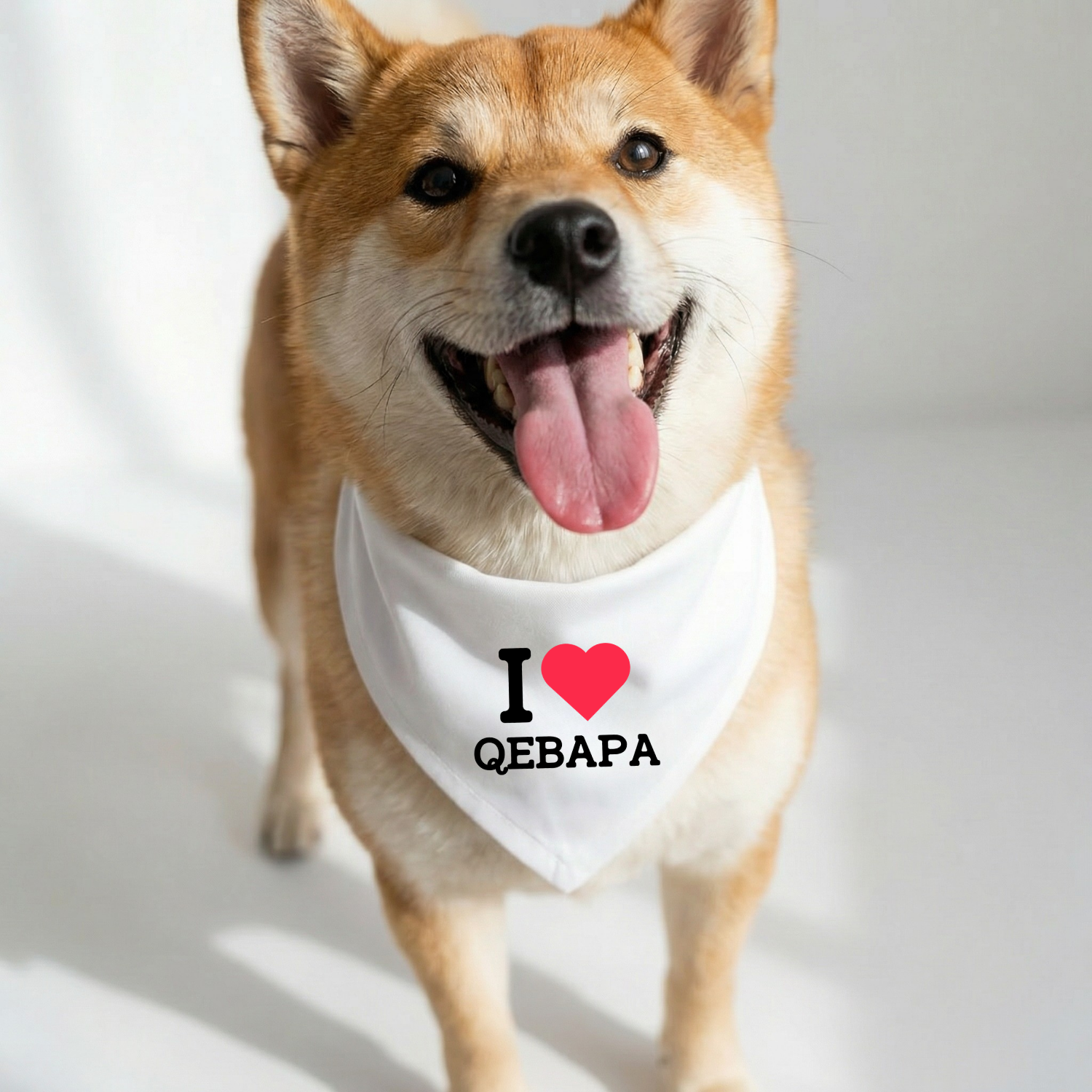Dog wearing white bandana that says I love qebapa Albanian Balkan dog bandana