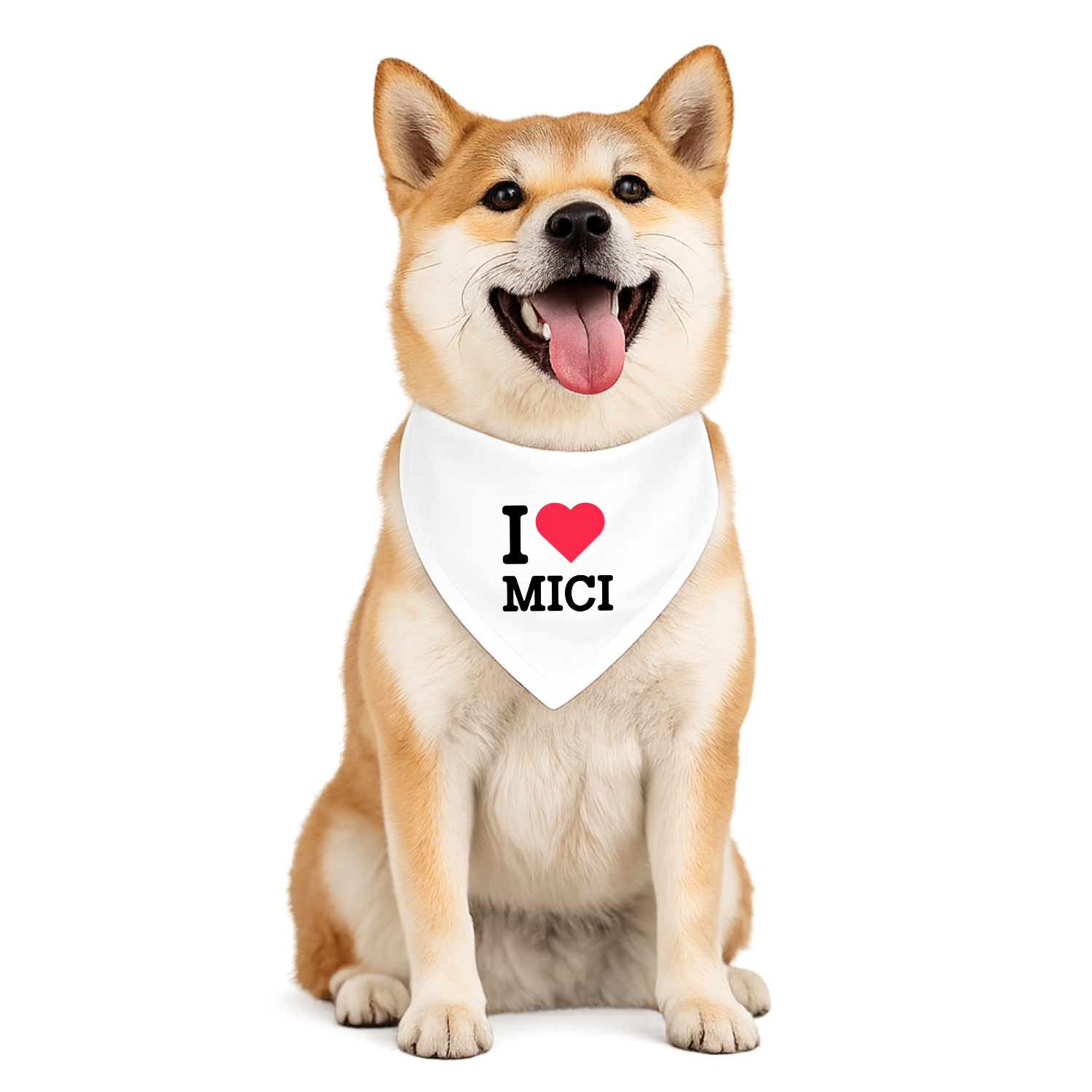 Dog wearing a bandana with 'I ❤️ MICI' text on a white background