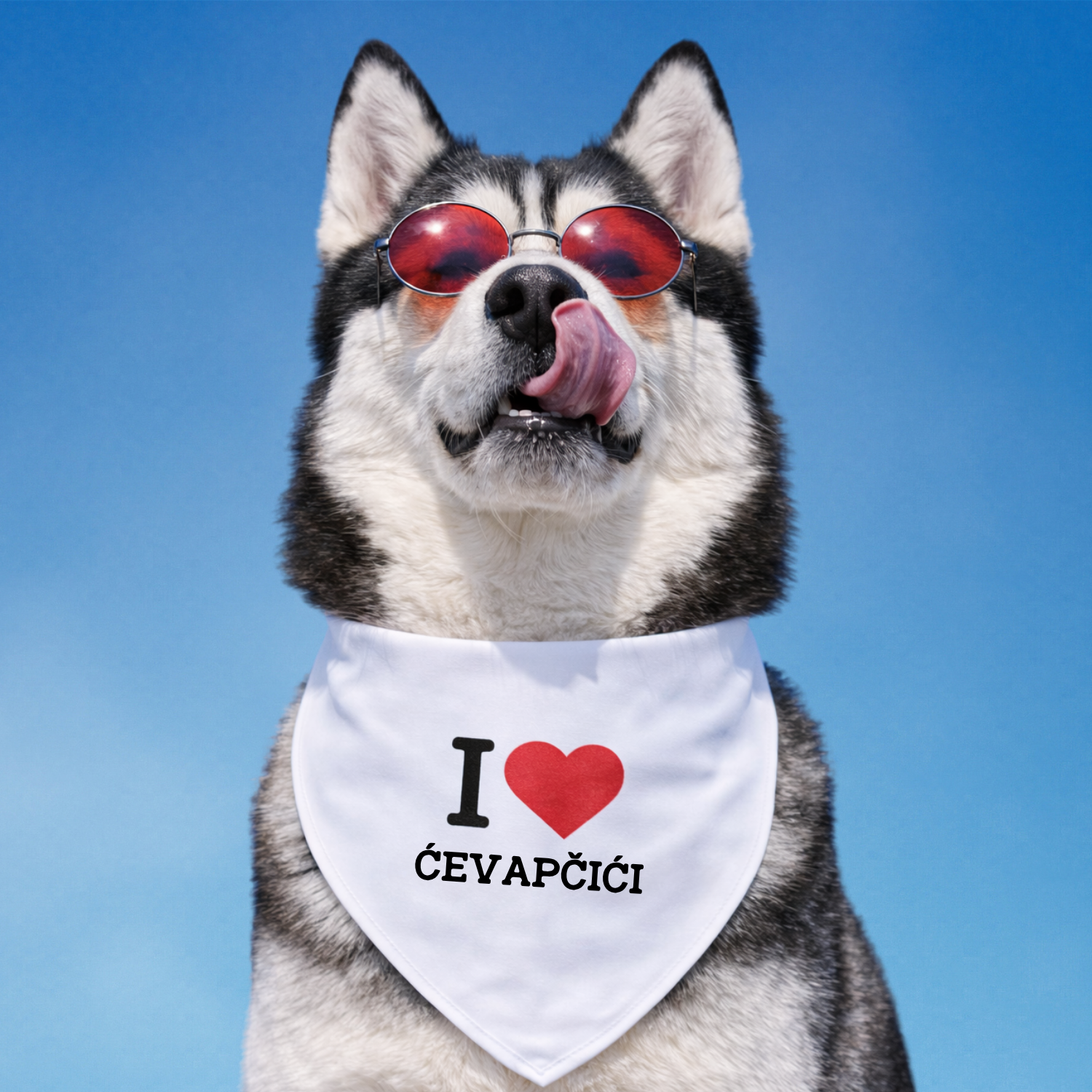 Dog wearing white bandana that says I love ćevapčići Serbian Balkan dog bandana