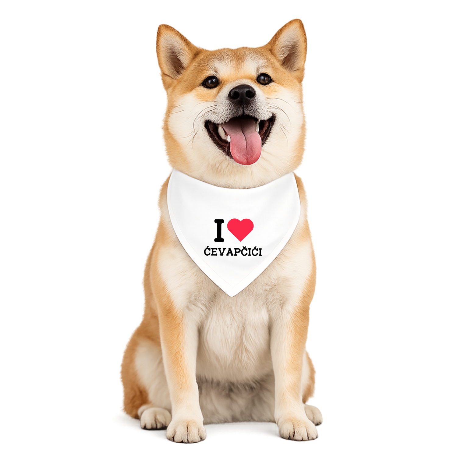 Dog wearing white bandana that says I love ćevapčići Serbian Balkan dog bandana