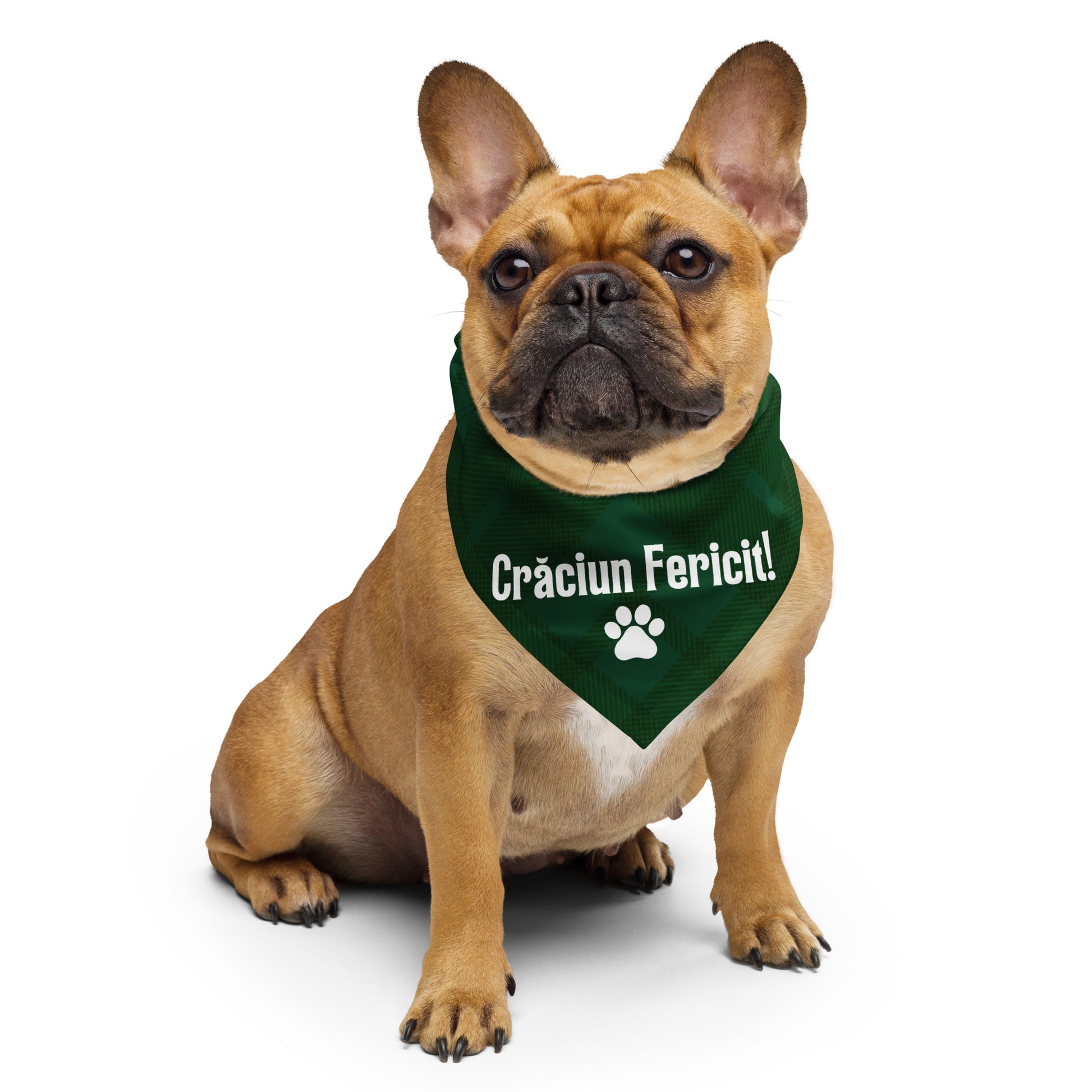 Green plaid pet bandana with “Crăciun Fericit” — Romanian Christmas accessory for pets