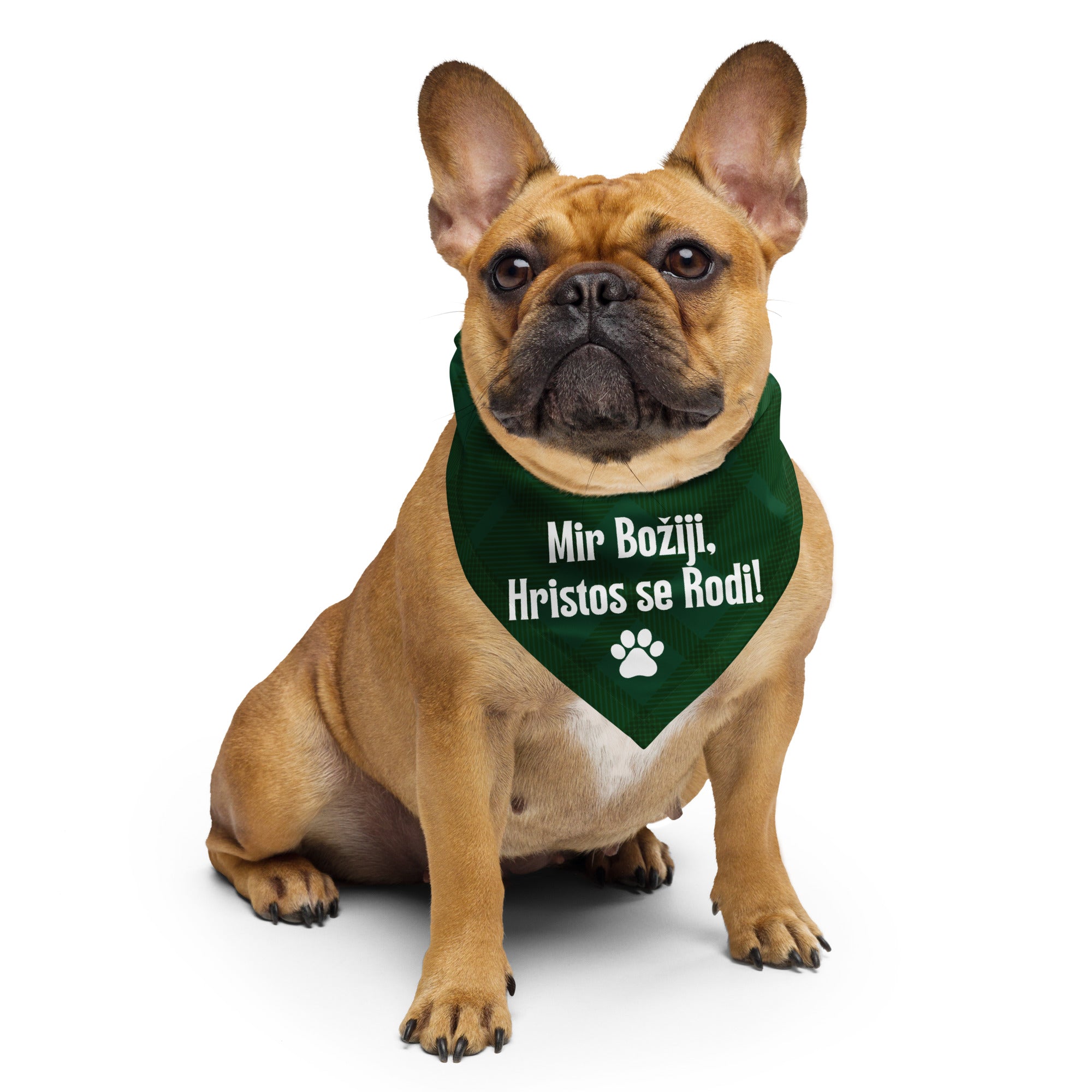 Green plaid pet bandana with “Mir Božiji, Hristos se Rodi” — Serbian Christmas accessory for pets